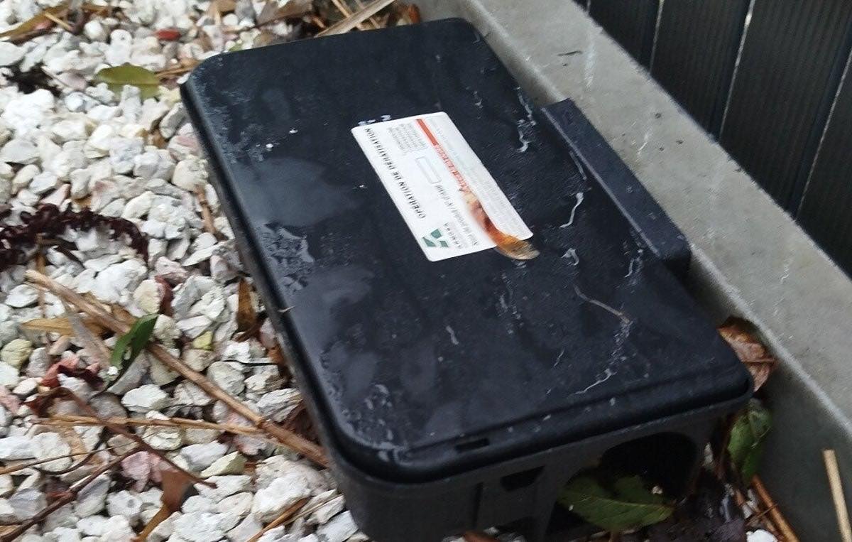 Poste d'appâtage sécurisé installé lors d'une opération de dératisation